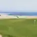 A golf course with a flag on the beach.