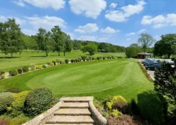 a large green lawn with cars parked in the back