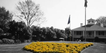 Vibrant yellow flowers in heart shape.