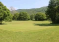 Lush green golf course with trees