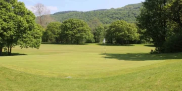 Lush green golf course with trees